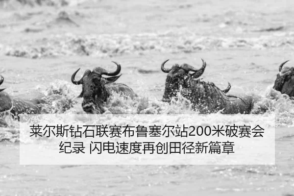 莱尔斯钻石联赛布鲁塞尔站200米破赛会纪录 闪电速度再创田径新篇章