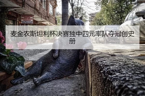 麦金农斯坦利杯决赛独中四元率队夺冠创史册